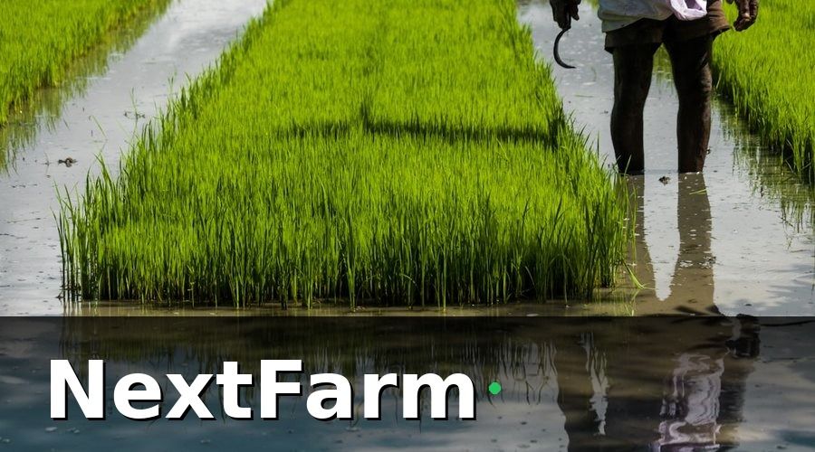 NextFarm — Tưới Tự Động: Tiết Kiệm Nước, Tiết Kiệm Công
