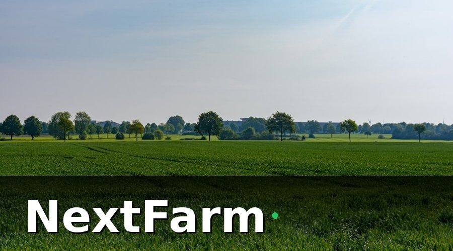 NextFarm — Tự Động Hóa Tưới Là Gì Và Tại Sao Cần Thiết?