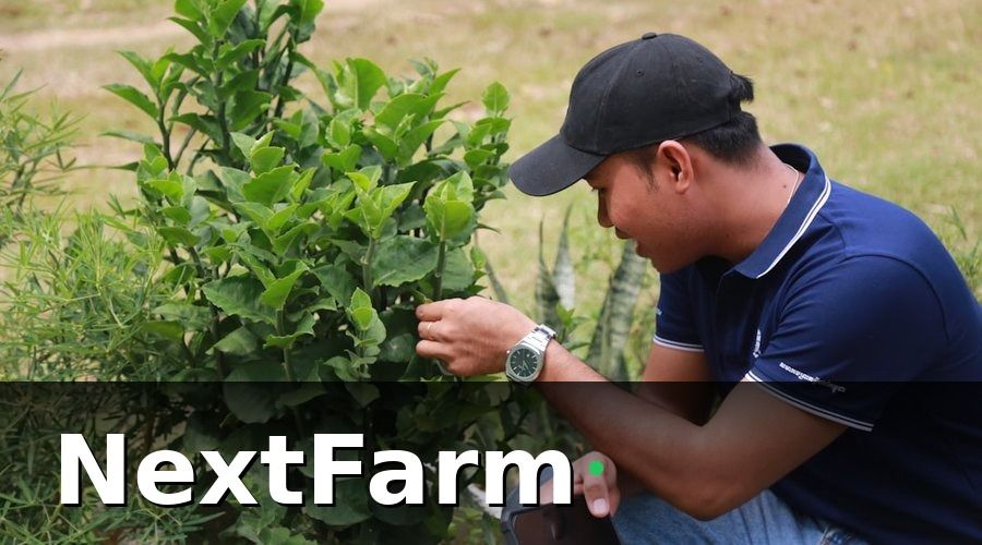 NextFarm — Hướng Dẫn Từng Bước Triển Khai Tự Động Hóa Tưới