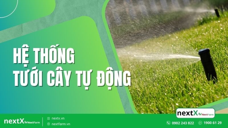 tưới cây tự động