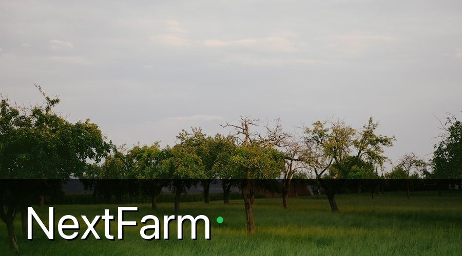 NextFarm — Tưới Nhỏ Giọt Là Gì và Tại Sao Phù Hợp Với Cây Ăn Quả?