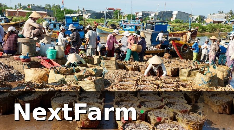 NextFarm — Thách Thức Lớn Trên Con Đường AI Hóa Nông Nghiệp