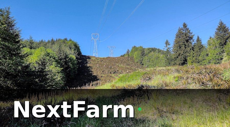 NextFarm — 5G: Xương Sống Của Nông Nghiệp Thông Minh Thế Hệ Mới
