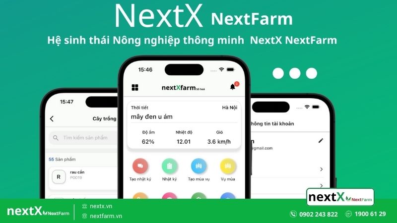 phần mềm 