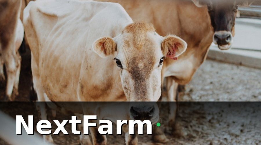 NextFarm — Tại Sao Quản Lý Lịch Tiêm Phòng Là Bài Toán Sống Còn