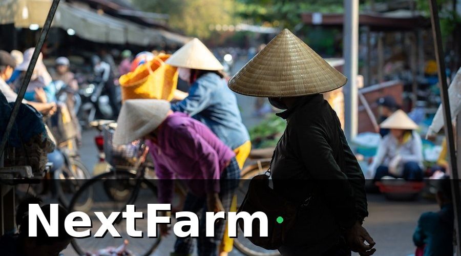 NextFarm — Vì Sao Vấn Đề An Toàn Thực Phẩm Việt Nam Vẫn Còn Nan Giải?