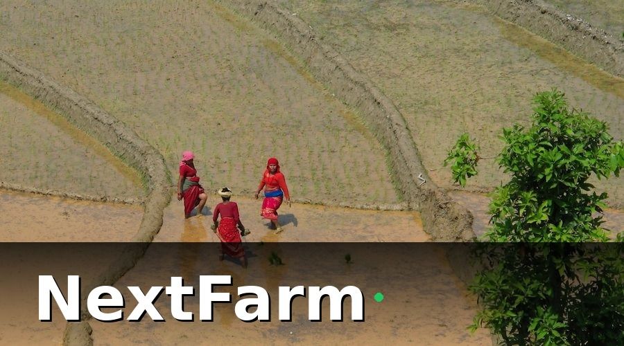 NextFarm — VietGAP Là Gì?