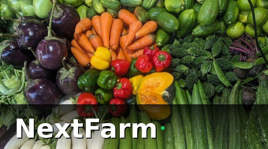 NextFarm — Tại Sao VietGAP Quan Trọng Với Nông Dân Việt Nam?