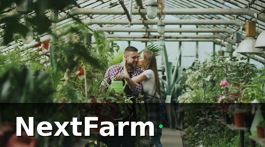 NextFarm — Các khoản vay phổ biến dành cho trang trại công nghệ