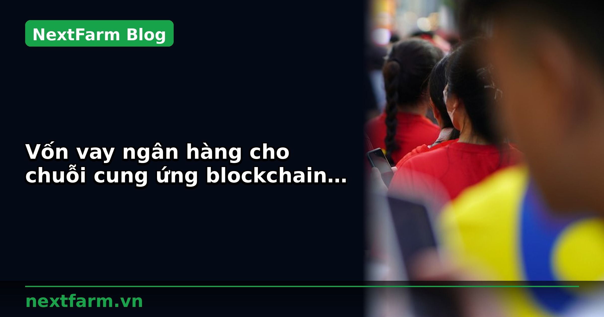 Vốn vay ngân hàng cho chuỗi cung ứng blockchain nông sản: chuẩn bị hồ sơ | NextFarm