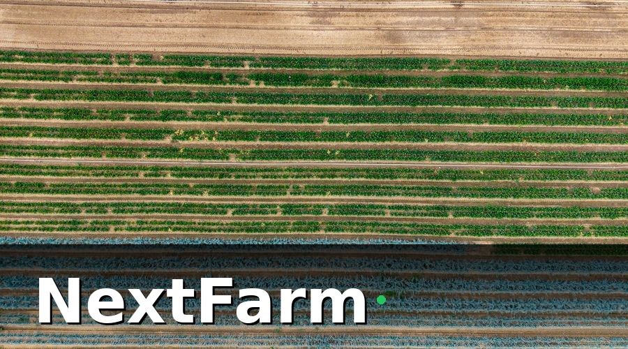 NextFarm — Các gói vốn vay ngân hàng phù hợp với trang trại hữu cơ