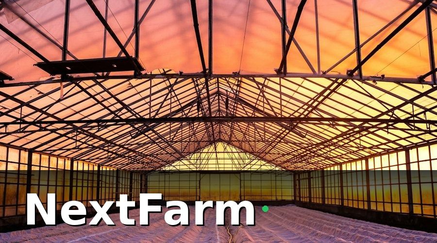 NextFarm — Những chi phí cần vay khi lắp đặt IoT nông nghiệp