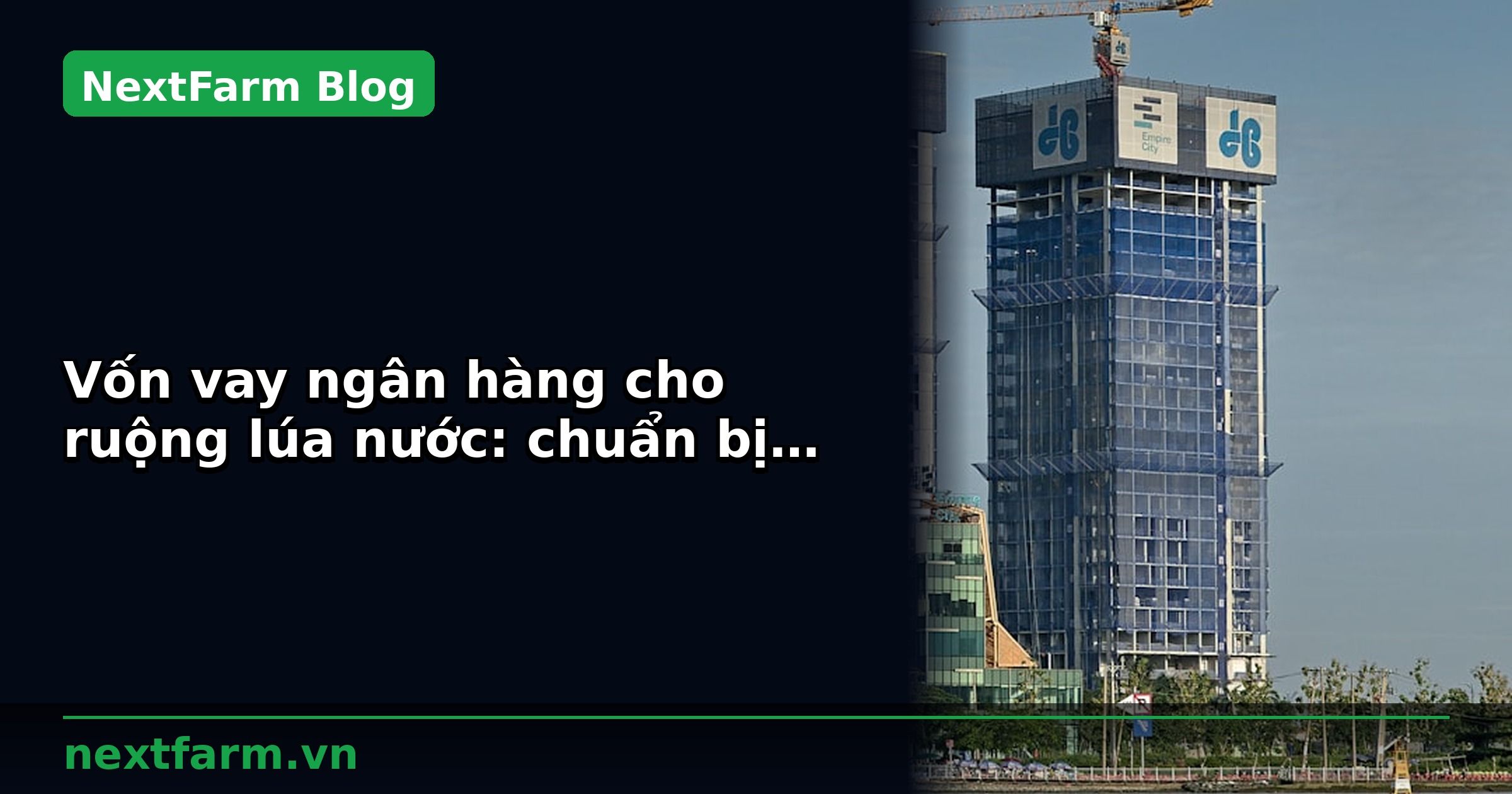 Vốn vay ngân hàng cho ruộng lúa nước: chuẩn bị hồ sơ | NextFarm