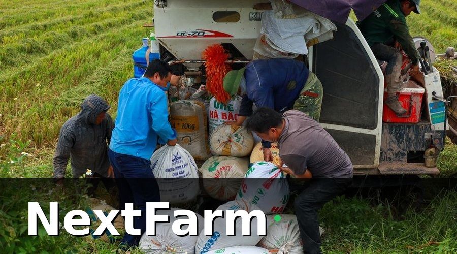 NextFarm — Hồ sơ vay vốn ngân hàng cho ruộng lúa nước cần những gì?
