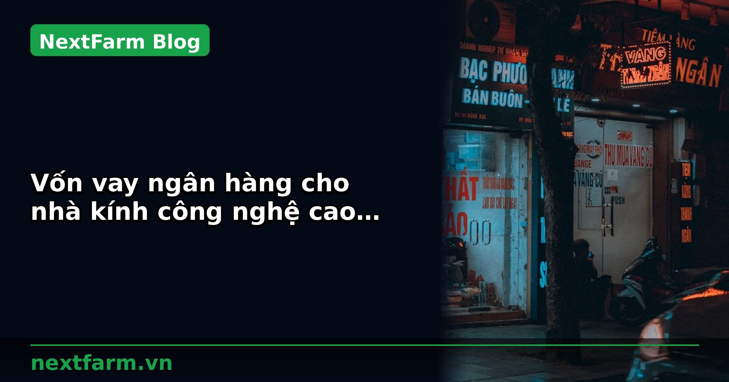 Vốn vay ngân hàng cho nhà kính công nghệ cao: chuẩn bị hồ sơ | NextFarm