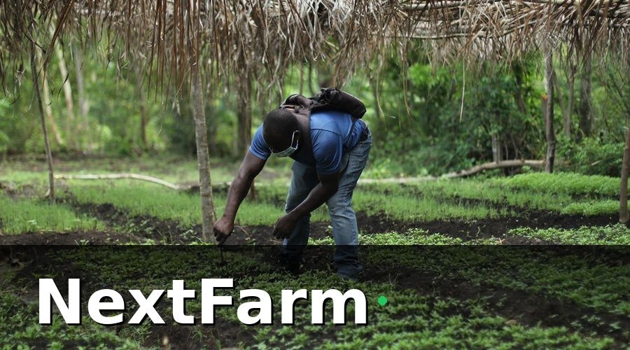 NextFarm — 2. Điều kiện cơ bản để được xét duyệt vốn vay ngân hàng nhà kính