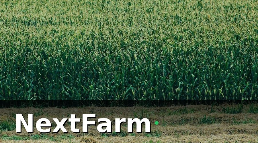 NextFarm — Tại sao nông trại nhỏ cần vốn vay ngân hàng?