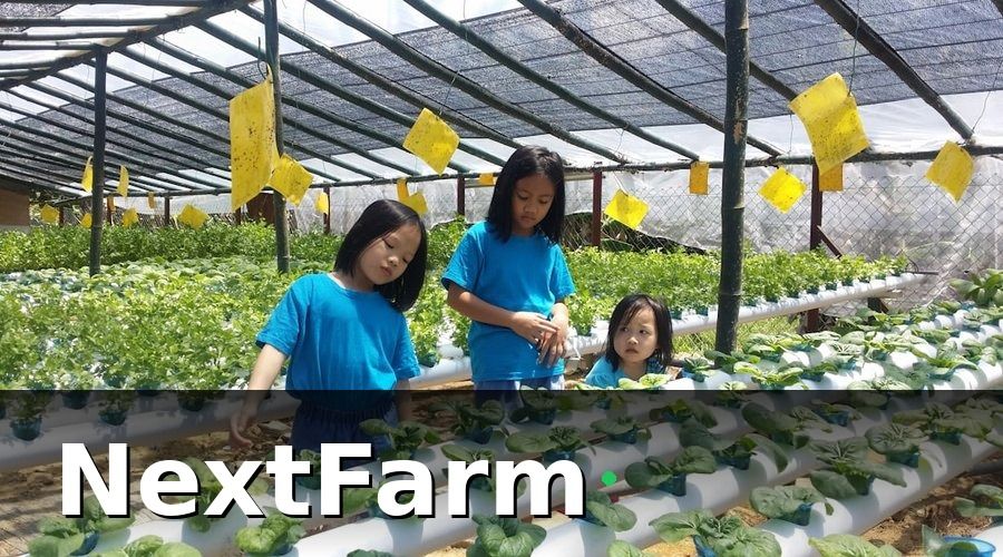 NextFarm — Hồ sơ vay vốn ngân hàng cho hệ thống thủy canh: 6 nhóm tài liệu cần chuẩn bị