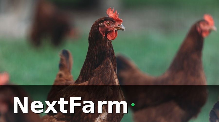 NextFarm — Những Điểm Cộng Ít Ai Biết Giúp Hồ Sơ Được Duyệt Nhanh Hơn