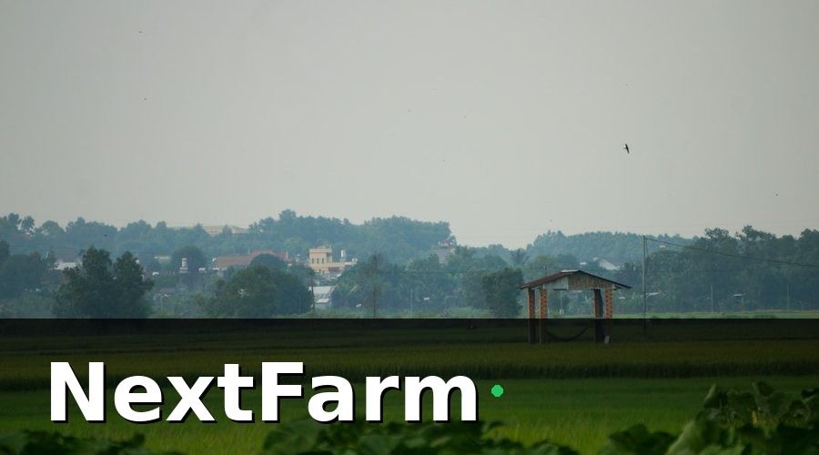 NextFarm — Tại sao trang trại vịt ngan khó vay vốn ngân hàng?