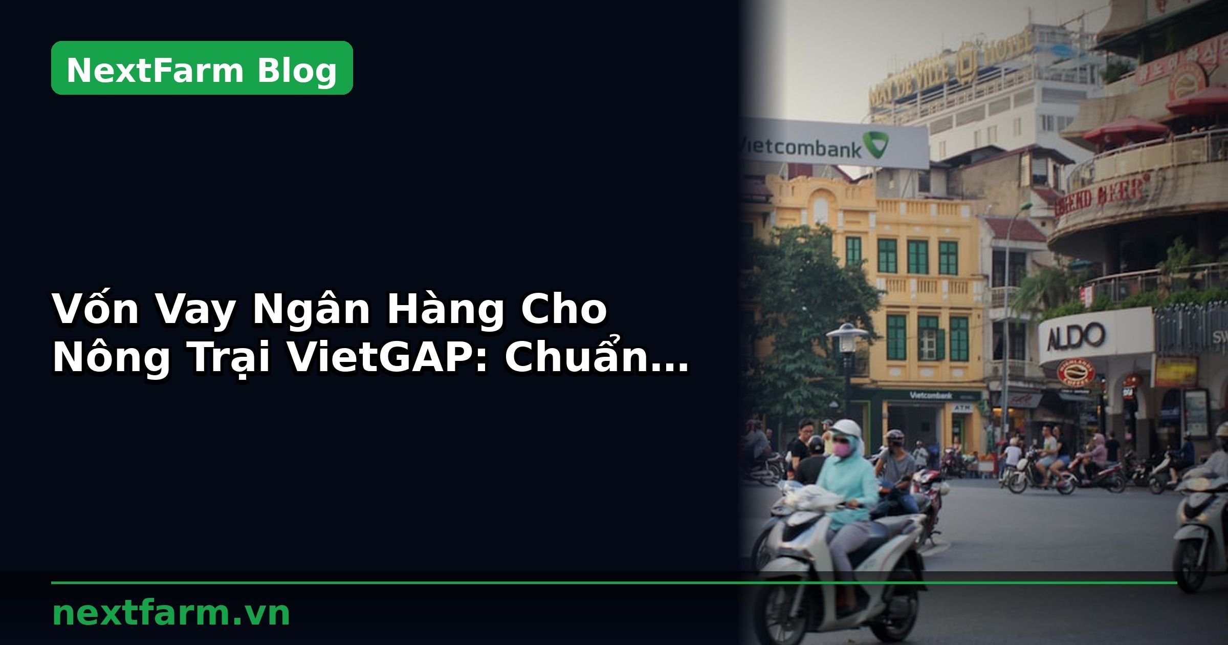 Vốn Vay Ngân Hàng Cho Nông Trại VietGAP: Chuẩn Bị Hồ Sơ | NextFarm