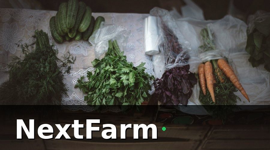 NextFarm — Các Gói Vay Vốn Phổ Biến Cho Nông Trại VietGAP