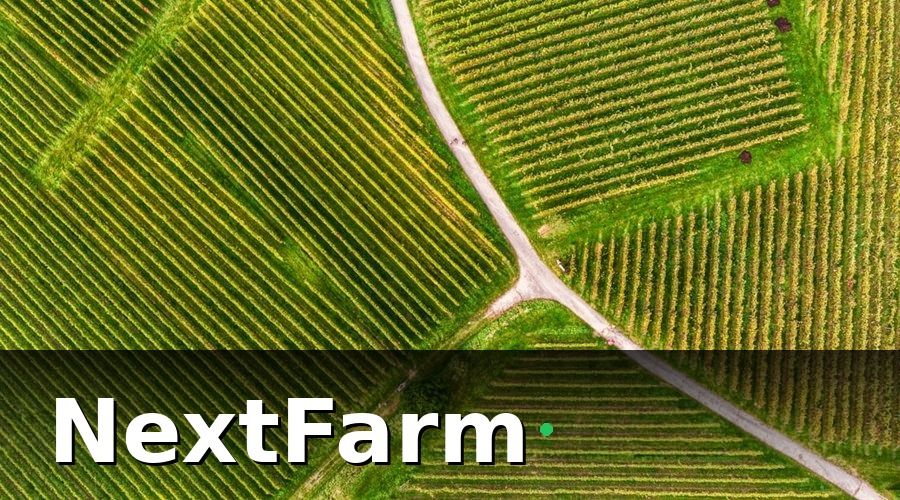 NextFarm — Tại sao vườn cà phê cần vốn vay ngân hàng?