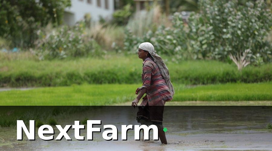NextFarm — Hồ sơ vay vốn ngân hàng cho vườn cà phê — cần chuẩn bị gì?