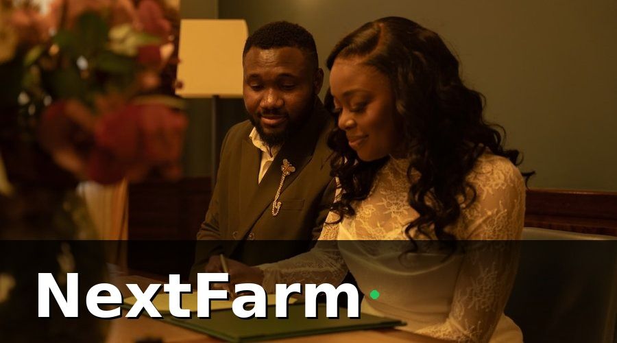 NextFarm — Các loại vốn vay ngân hàng phổ biến cho vườn cây ăn quả