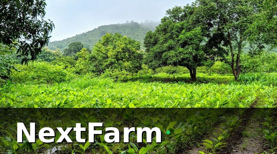 NextFarm — Bộ hồ sơ vay vốn ngân hàng cho vườn tiêu gồm những gì?