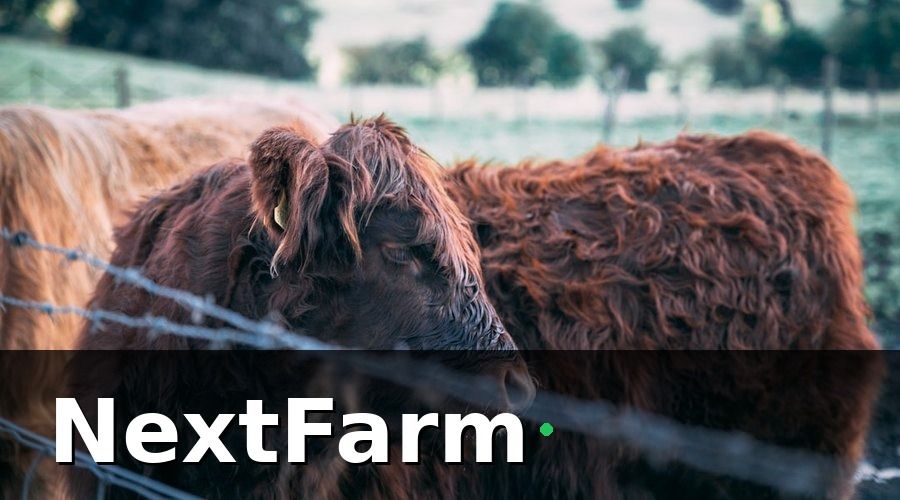 NextFarm — 3. AI Phát Hiện Bệnh Sớm — Đừng Để Đến Khi Cả Đàn Nhiễm