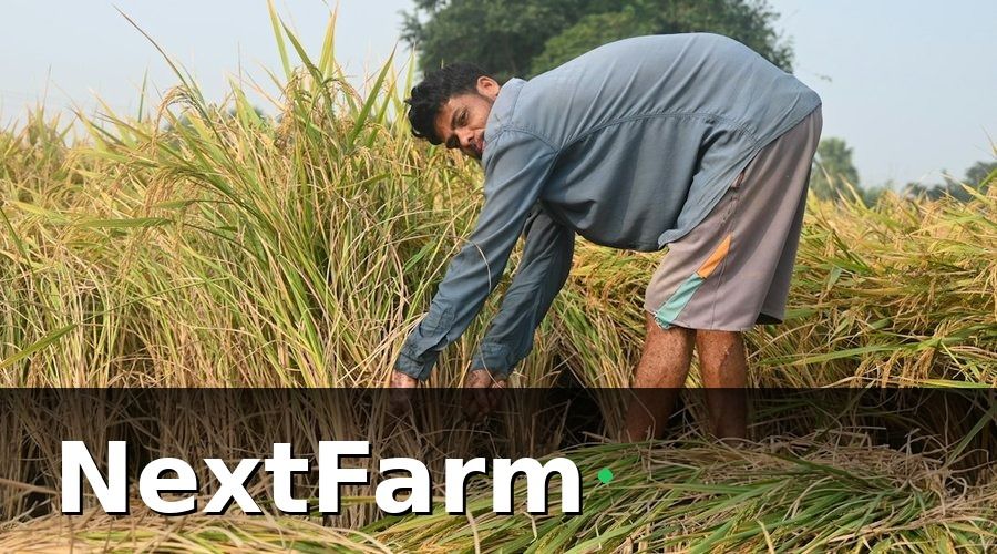 NextFarm — Ứng dụng thực tế tại các trang trại Việt Nam