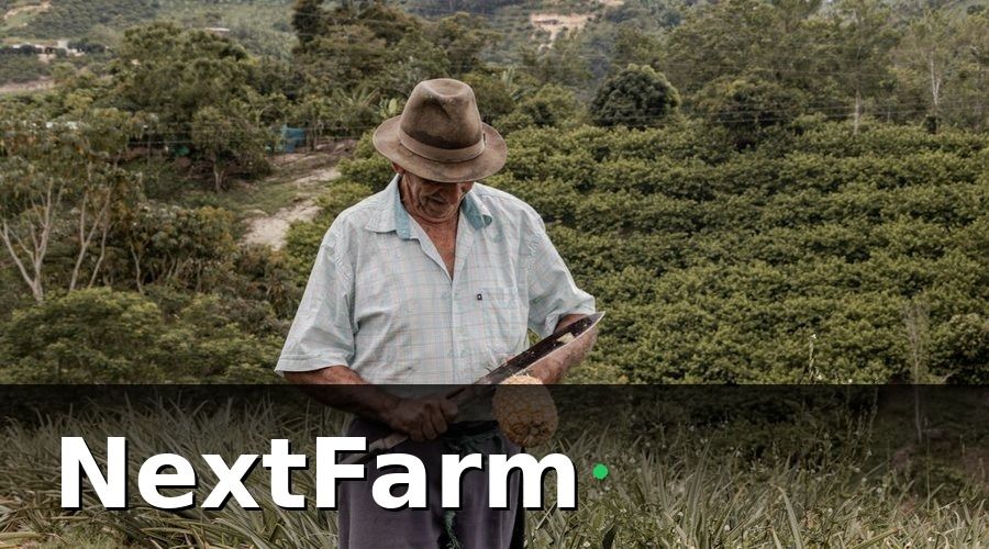 NextFarm — 1. Kết hợp IoT – Blockchain: Dữ liệu thực tế đưa lên chuỗi ngay tại ruộng