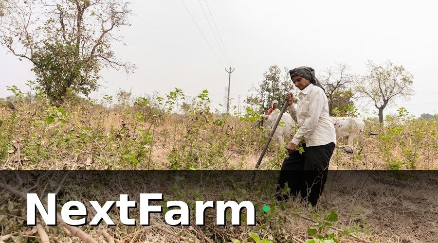 NextFarm — AI tích hợp giúp phân tích dữ liệu đất