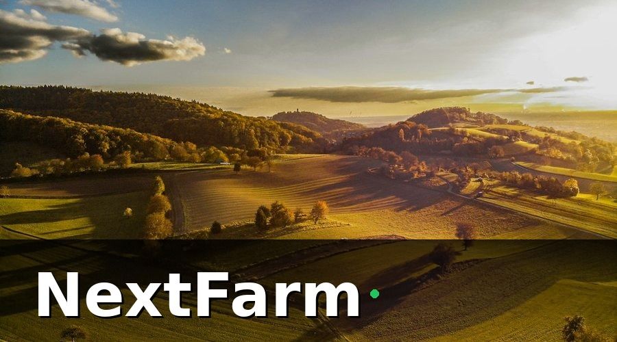 NextFarm — AI dự báo thời tiết siêu cục bộ