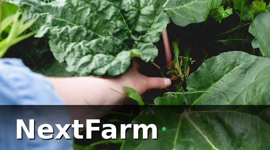 NextFarm — Cảm biến đất kết hợp IoT 5G