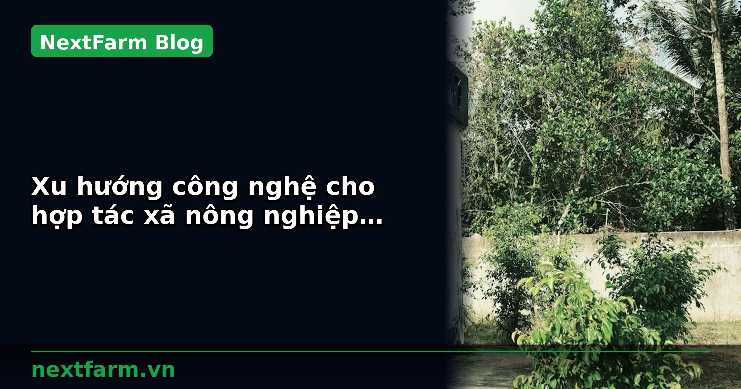 Xu hướng công nghệ cho hợp tác xã nông nghiệp năm 2026 | NextFarm