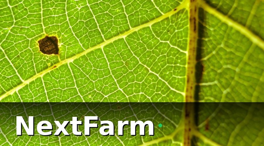 NextFarm — 3. AI phát hiện sâu bệnh với độ chính xác 94%