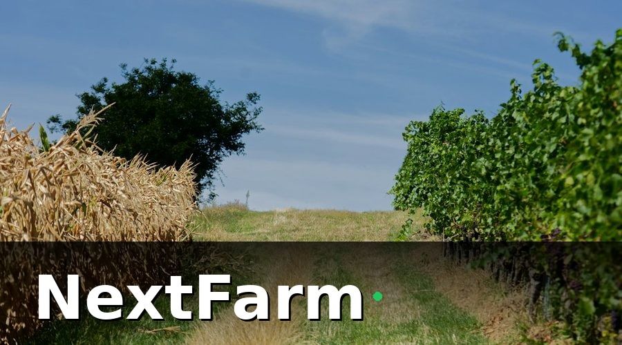 NextFarm — Tại sao nông trại hữu cơ cần công nghệ hơn bao giờ hết