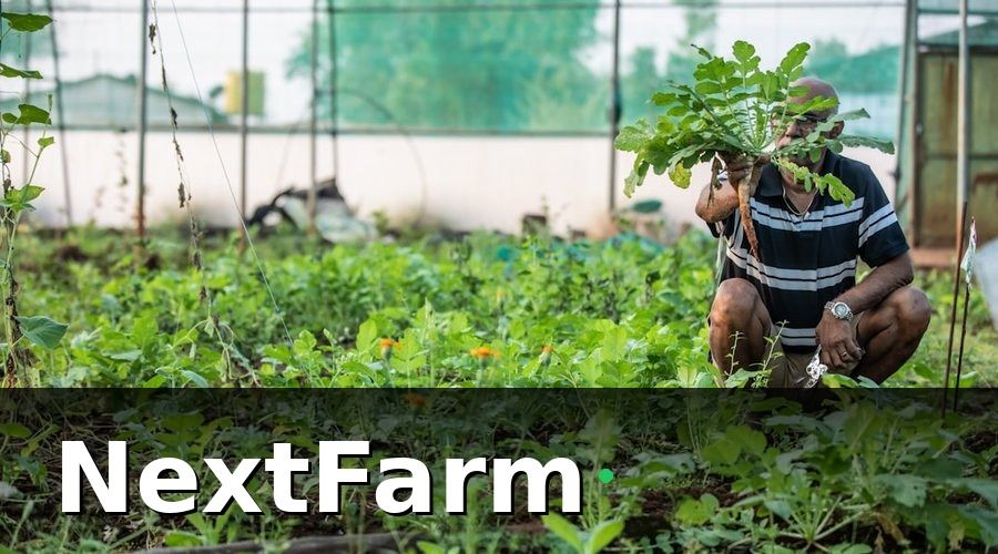 NextFarm — Nông trại hữu cơ Việt Nam đang ở đâu trong cuộc chuyển đổi này?