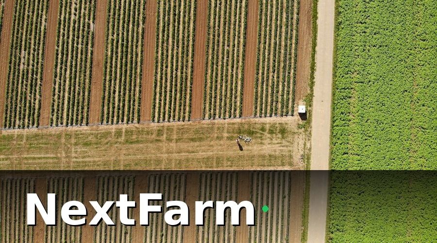 NextFarm — 3. AI dự báo sâu bệnh kết hợp IoT