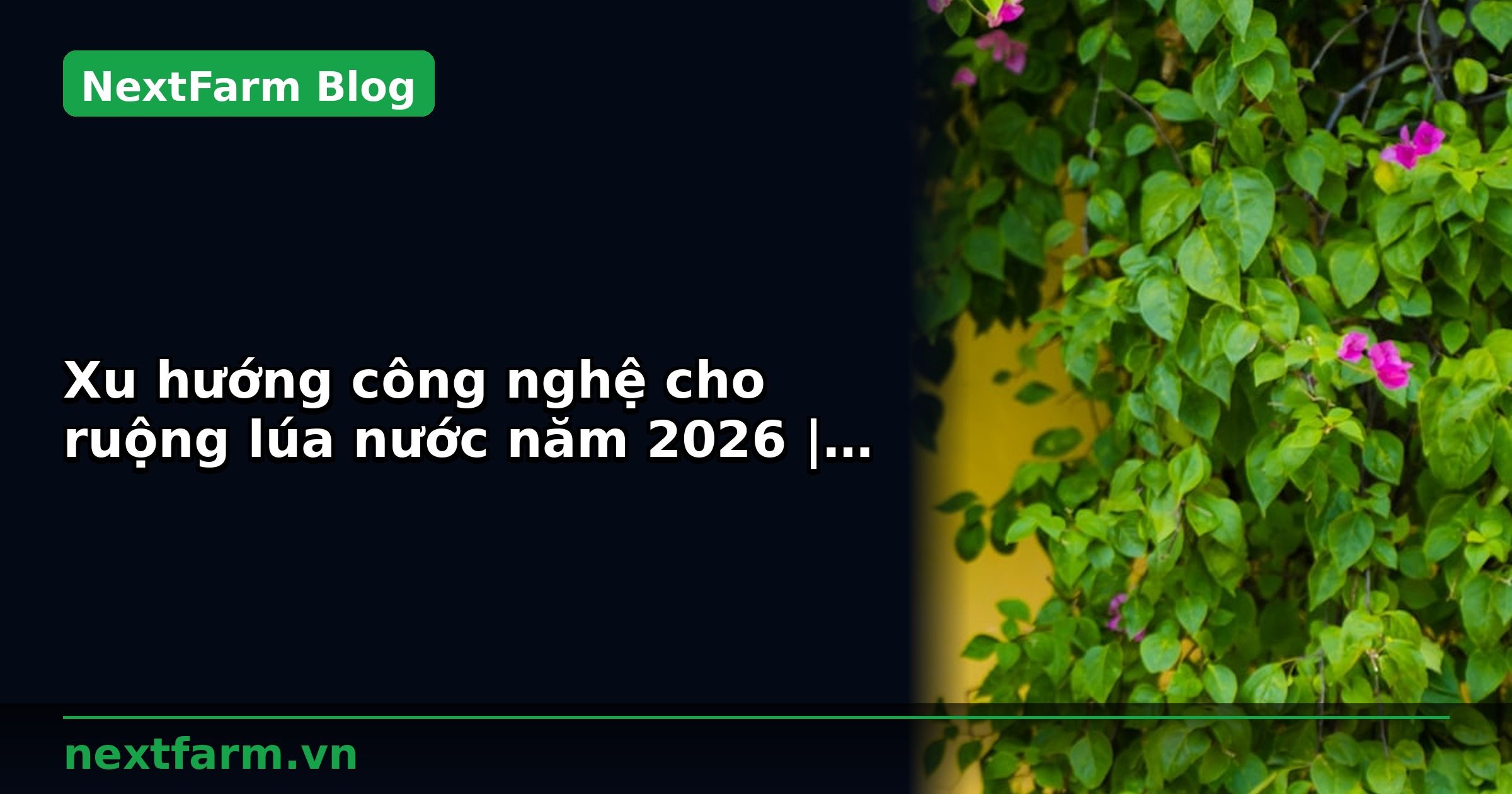 Xu hướng công nghệ cho ruộng lúa nước năm 2026 | NextFarm