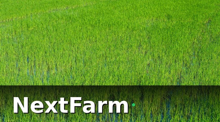 NextFarm — Tại sao năm 2026 là bước ngoặt với ruộng lúa Việt Nam?
