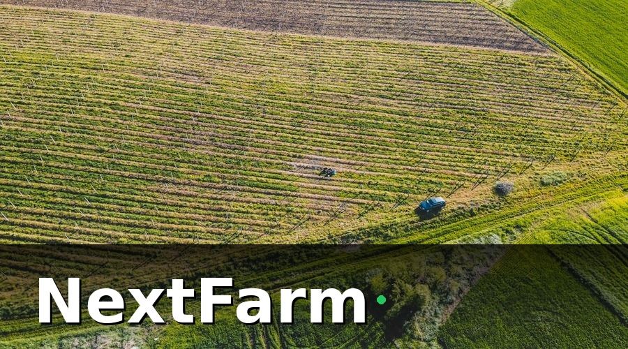 NextFarm — 5 xu hướng công nghệ nổi bật nhất cho ruộng lúa năm 2026