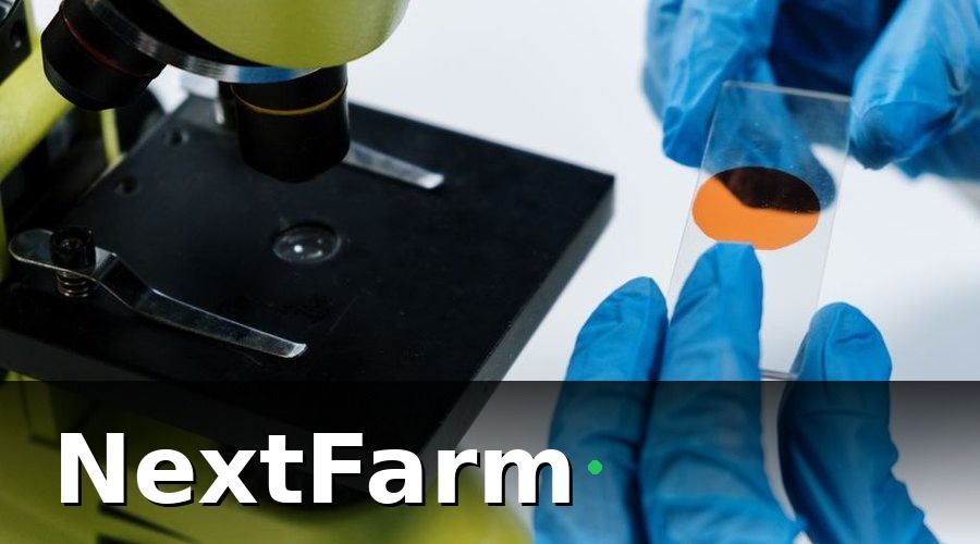 NextFarm — 2. AI cảnh báo dịch bệnh sớm — nhận diện trước khi tôm chết