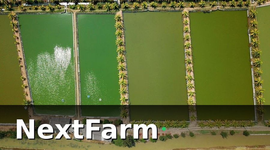 NextFarm — 3. Tự động hóa quạt nước và hệ thống tưới — vận hành không cần người trực