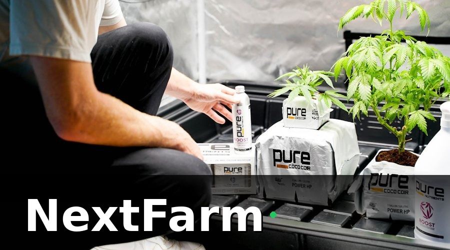 NextFarm — Tại sao công nghệ trở thành yếu tố sống còn với trang trại thủy canh?
