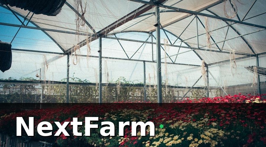 NextFarm — Xu hướng công nghệ nổi bật trong thủy canh năm 2026