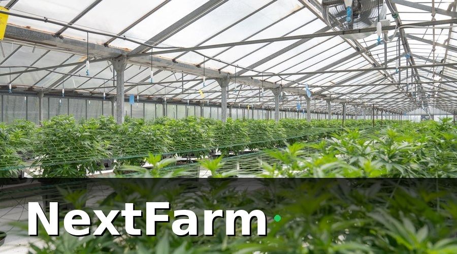 NextFarm — 2. AI phát hiện sâu bệnh — chẩn đoán nhanh, xử lý kịp thời