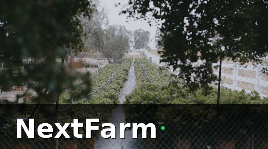 NextFarm — 3. Tự động hóa tưới và bổ sung dinh dưỡng